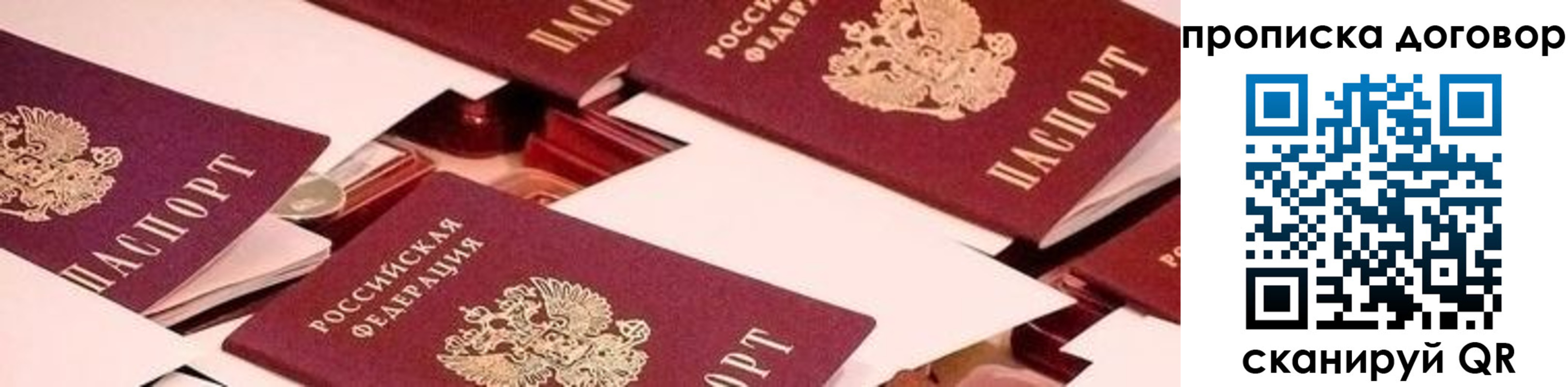 прописка 2025 в Жуковском